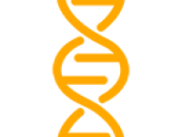 Secondary School Profile